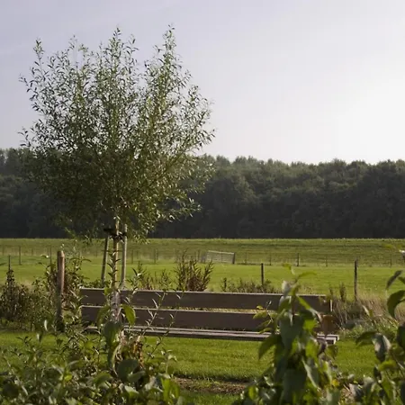 Sfeervolle Zeeuwse Cottage Met Extra Slaapkamer 4 Personen Wemeldinge Exterior photo